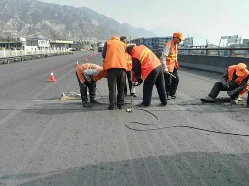 奉新道路桥梁病害治理